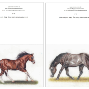 Greeting cards - horse set