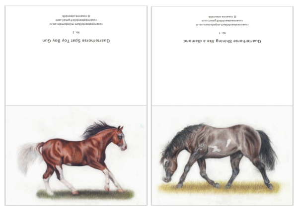 Greeting cards - horse set