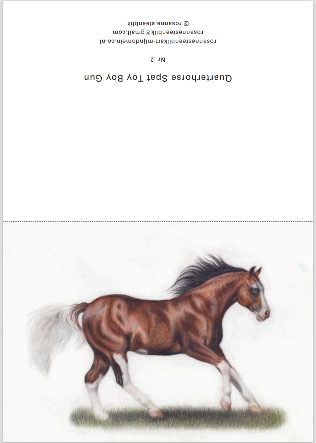 Greeting cards - horse set